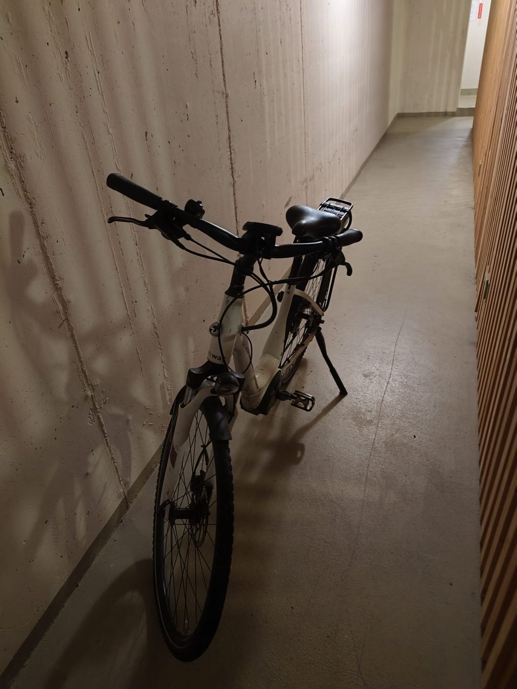 Bosch Biciclette: E-Bike – Usato da Wil SG venduto da RicciSpanish