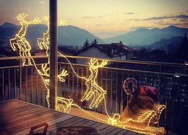 Renne con slitta illuminarie