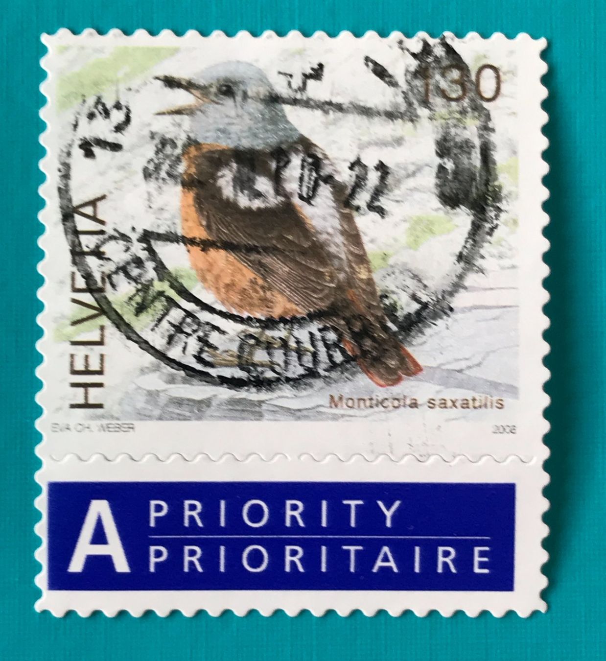 Tutti i francobolli: Nr.1272 mit Stempel  Vögel  2008   – Usato da Aarau venduto da Billa007