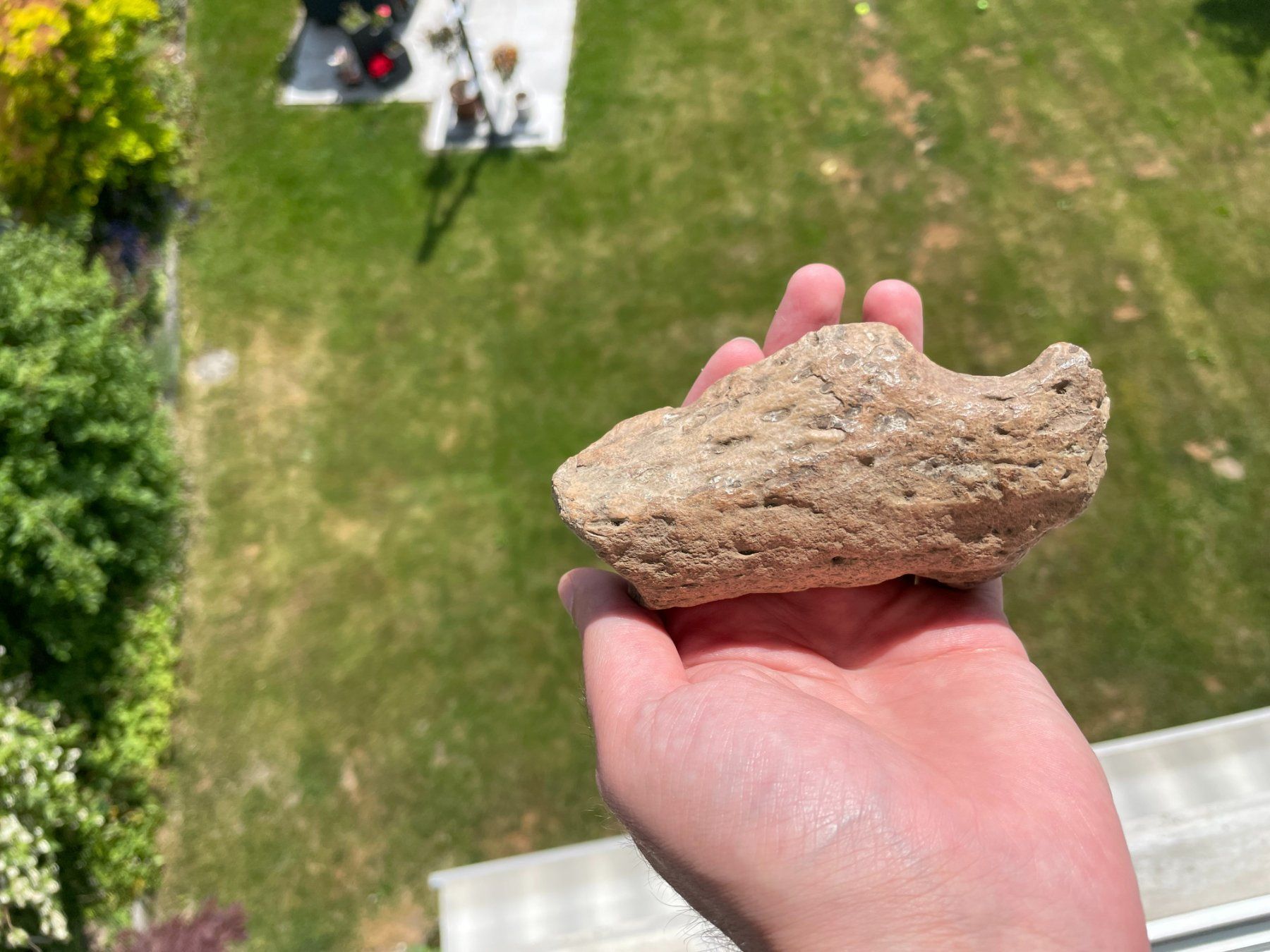 Fossilien: Fossiles Krokodilkieferstück Indonesien – Gebraucht aus schüpfen von rica122 2