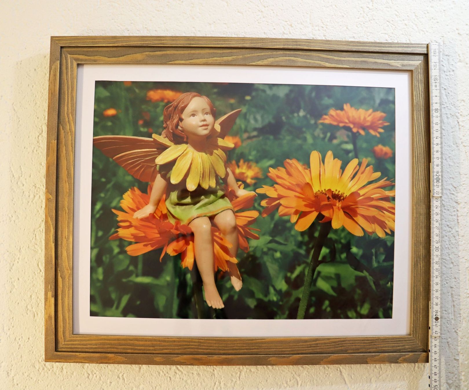 Foto & Immagini: Elfen-Bild Ringelblume (Fotobild plus Holzrahmen) – Nuovo (secondo la descrizione) da Volketswil venduto da greifensee11511 2