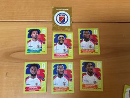 Panini FIFA World Cup 2026