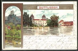 Gottlieben & Salenstein, Künstlerkarte, gelaufen 1898