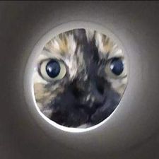 Profile image of jockie