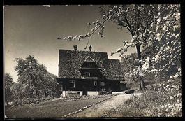 Foto-AK Oberägeri, Bauernhaus mit blühenden Bäumen