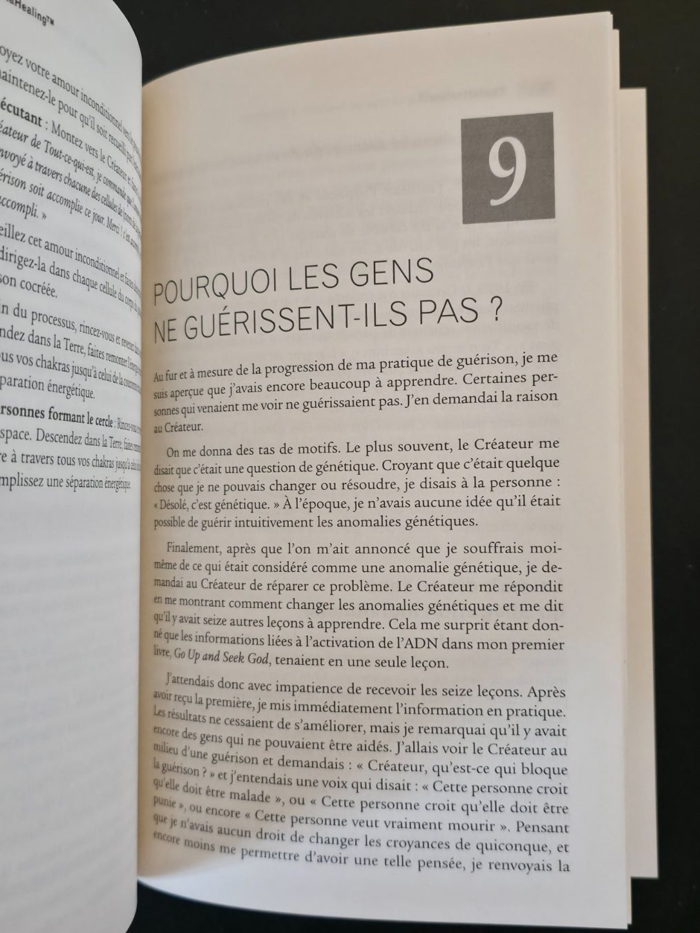 Libri: La Technique Du ThetaHealing Vianna Stibal Guy Trédaniel Éds – Usato da Montreux venduto da Edelweissgirl_64 5