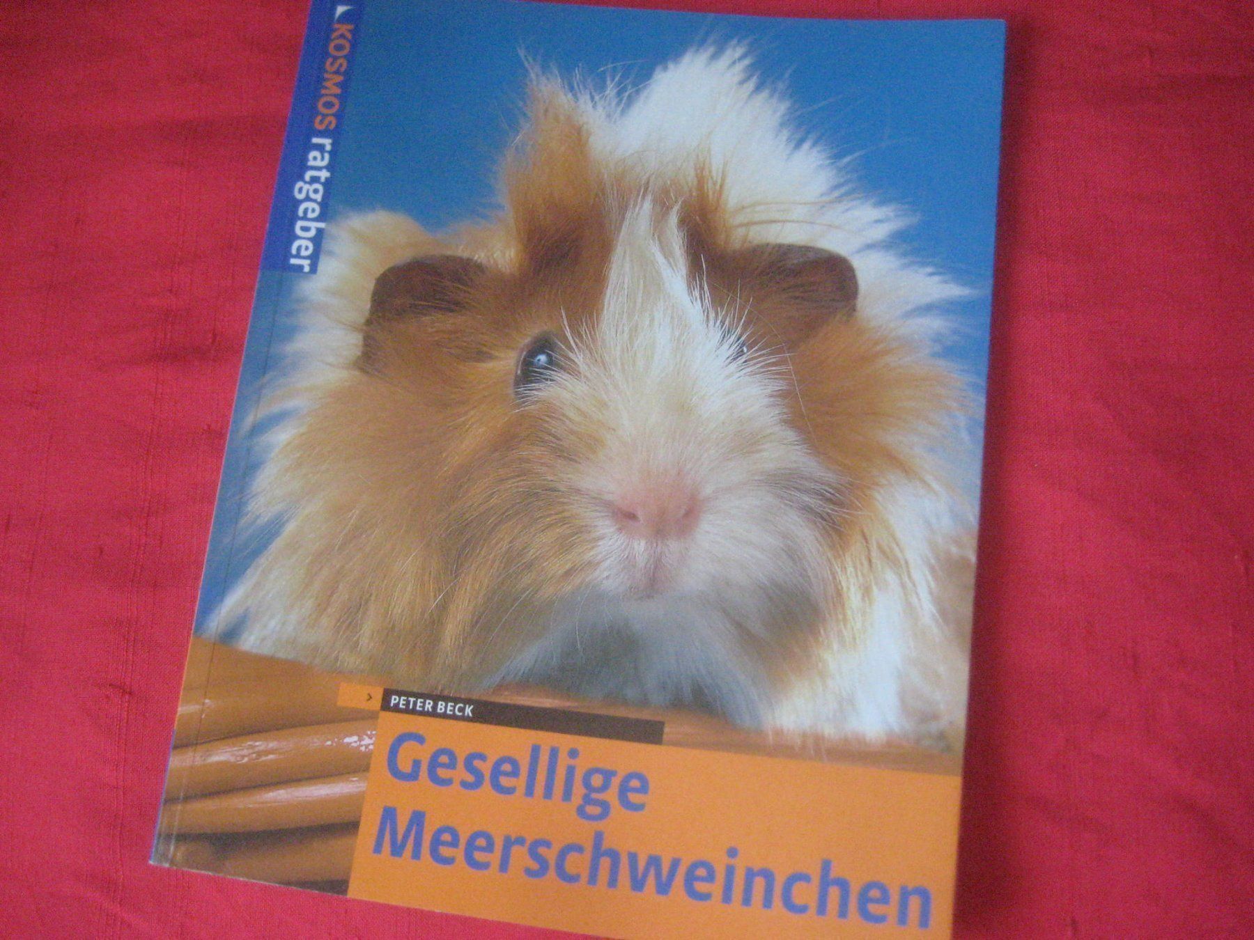 Bücher: MEERSCHWEINCHEN  BUCH – Gebraucht aus Uster von flocke1
