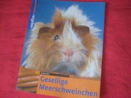 MEERSCHWEINCHEN  BUCH