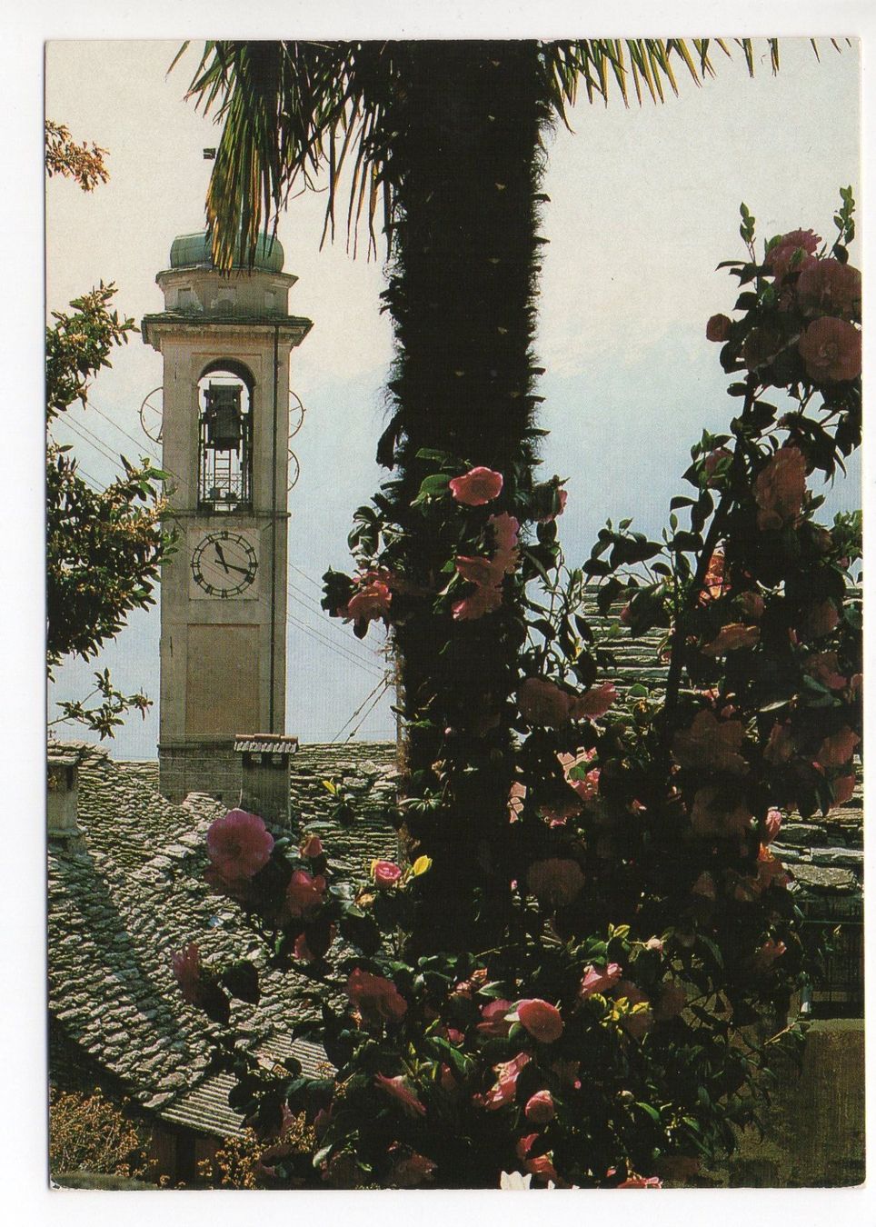 Cartes postales: BRIONE s. Minusio – D'occasion à Jona par philajona