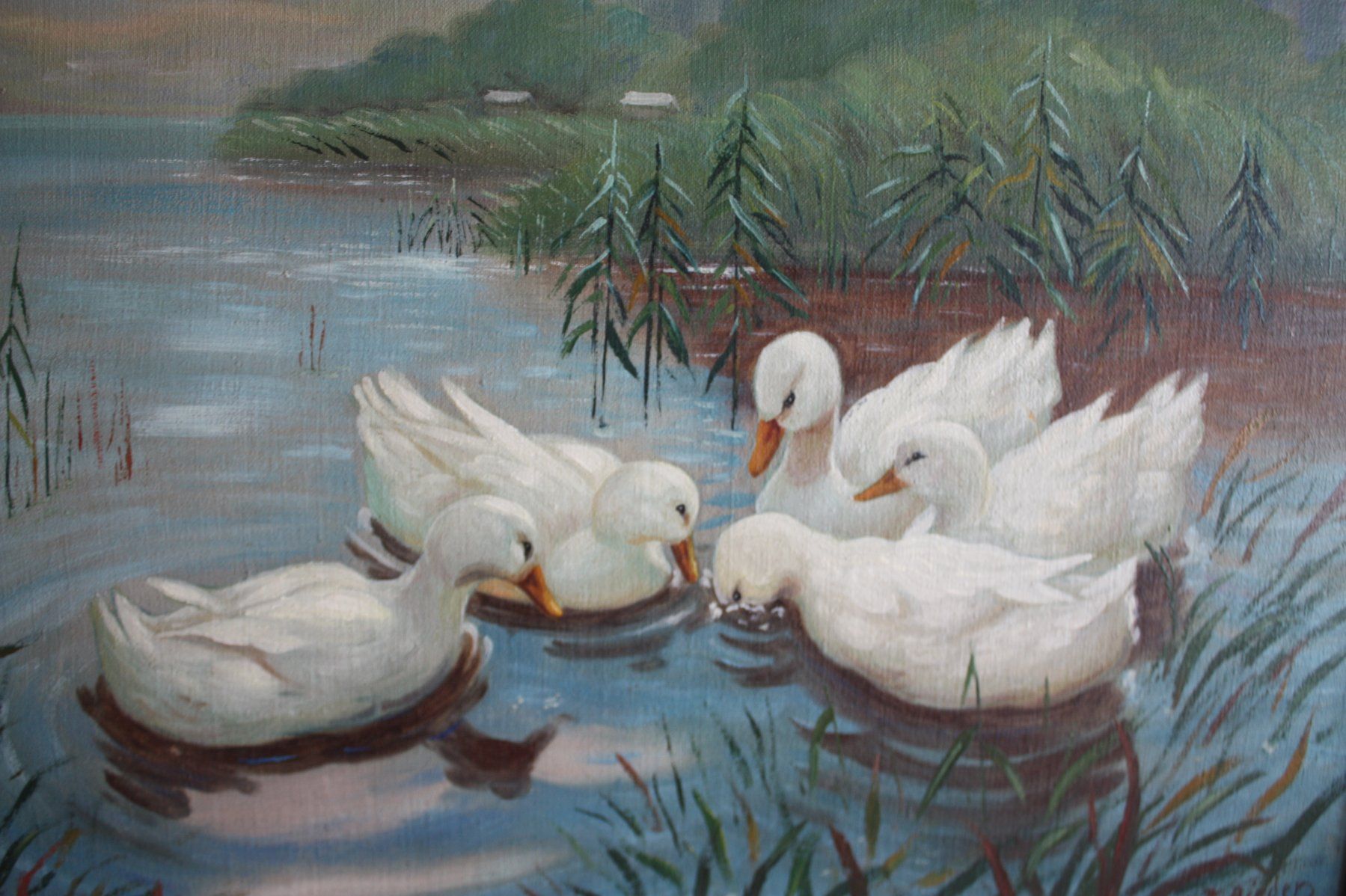 Dipinti: Enten im See – Usato da Altstätten SG venduto da sulim 1