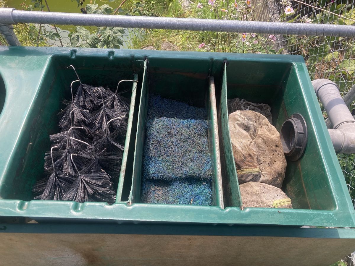 Sonstiges: Teichfilter mit Filtermaterial und Pumpen – Gebraucht aus Müllheim Dorf von Turtles 1