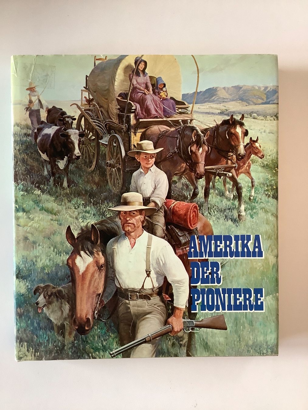 Libri: Amerika der Pioniere – Usato da Triesen venduto da boston7