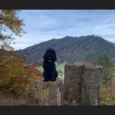 Profile image of Yacki121017