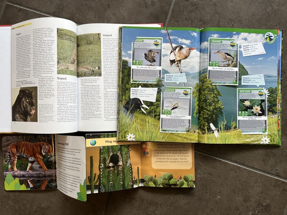 Livres: Alles über Tiere – D'occasion à Gattikon par Sunshine4. 2