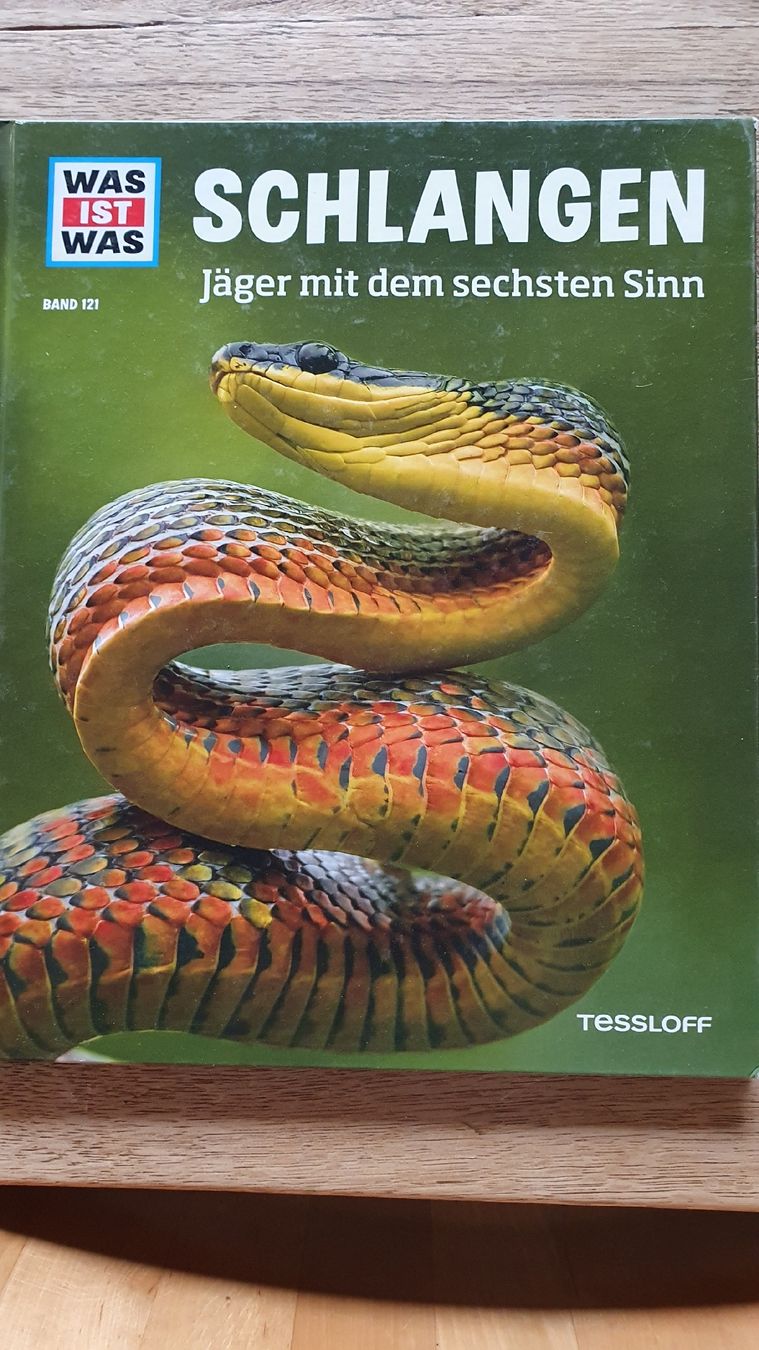 Libri: 2 Tierbücher: Schlangen & Dinosaurier Rekorde – Usato da Jenaz venduto da A-Team05 3
