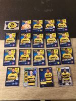 Topps Champions League 2023-24 YB Young Boys komplett