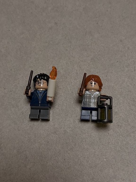 Kit di costruzioni: LEGO Harry Potter Aragogs Versteck 75950 – Usato da Arlesheim venduto da nfi_g5pf 2