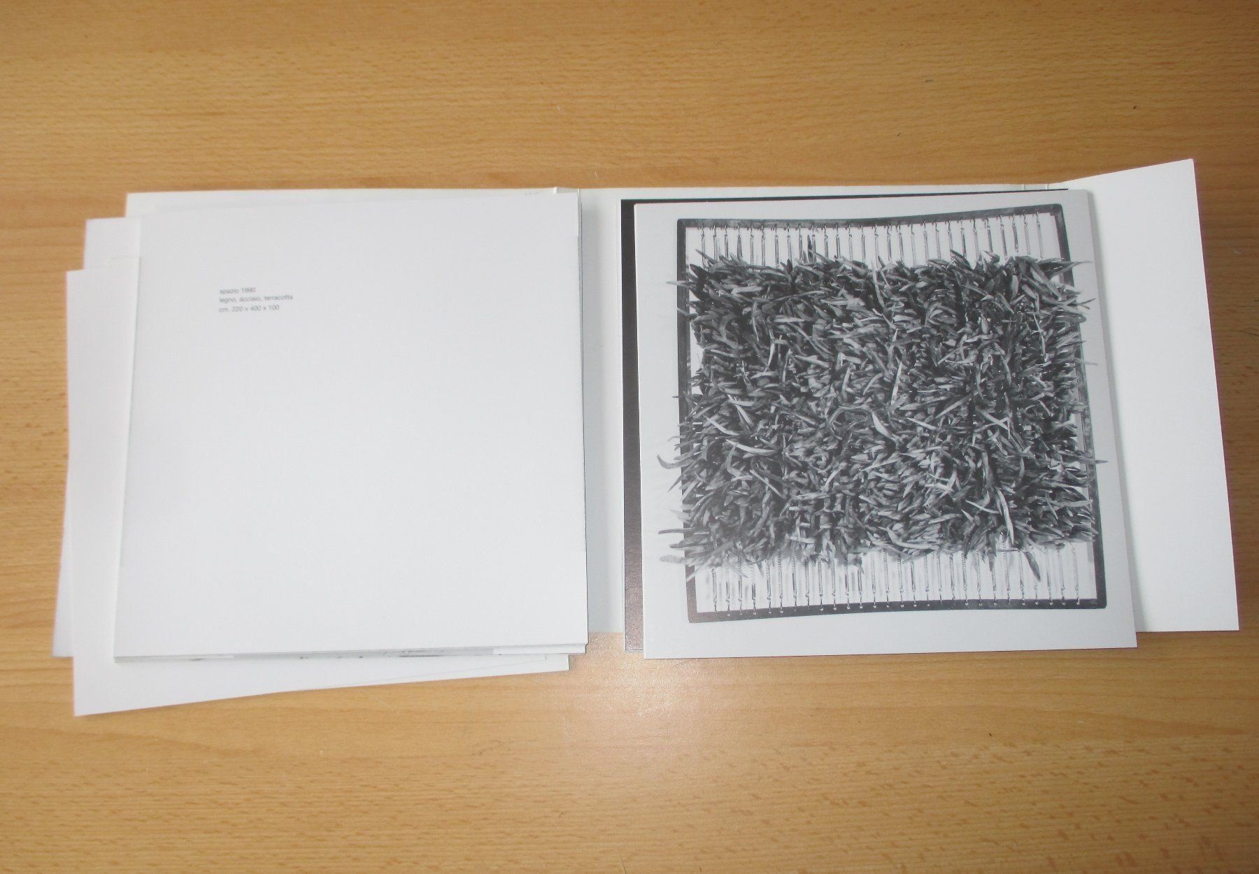 Libri: Kunstmappe Lorenzo Cambin spazi – Usato da Flims - Dorf venduto da Stagediver 4