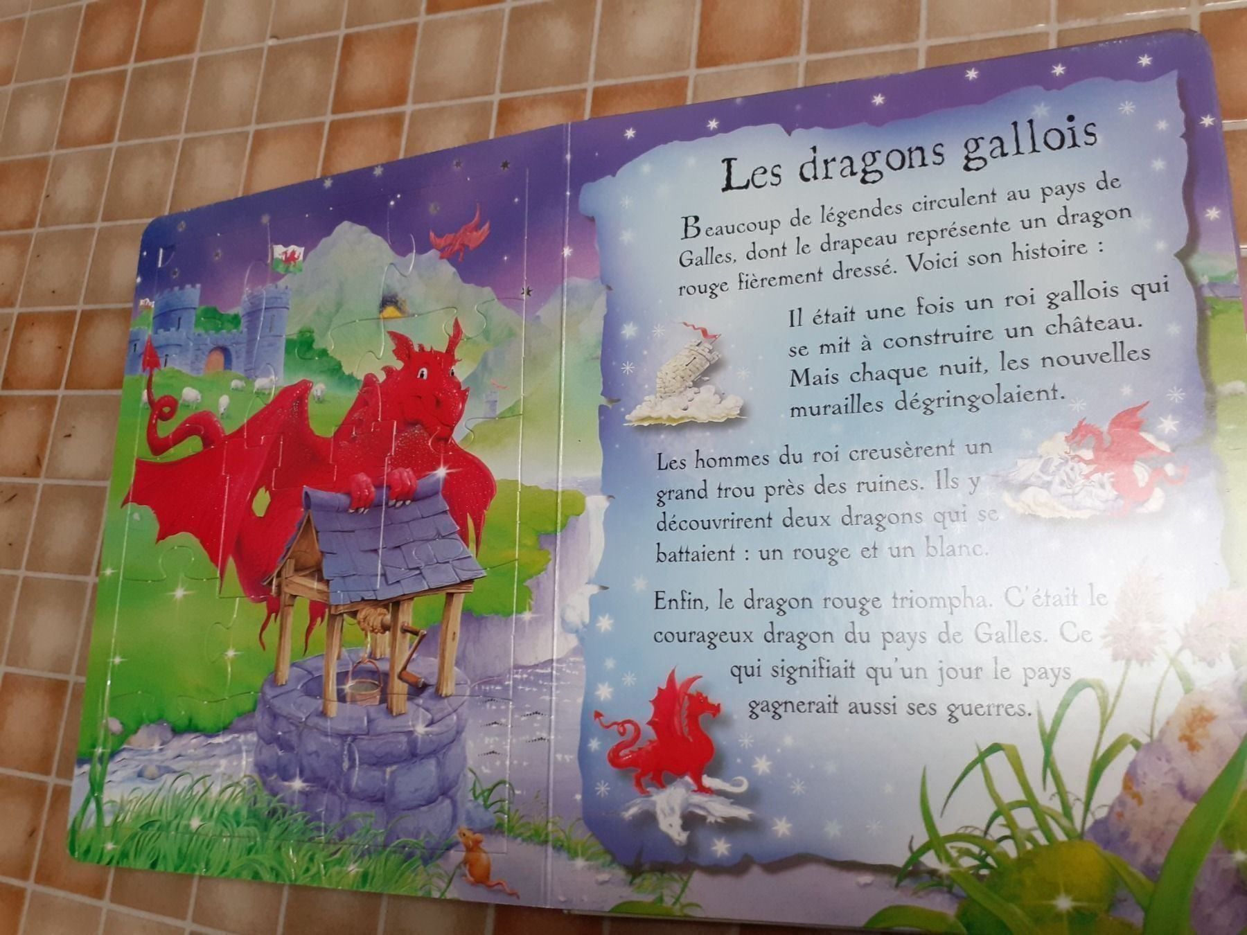 Libri: Livre puzzle dragons – Usato da Bure venduto da Srh2 3