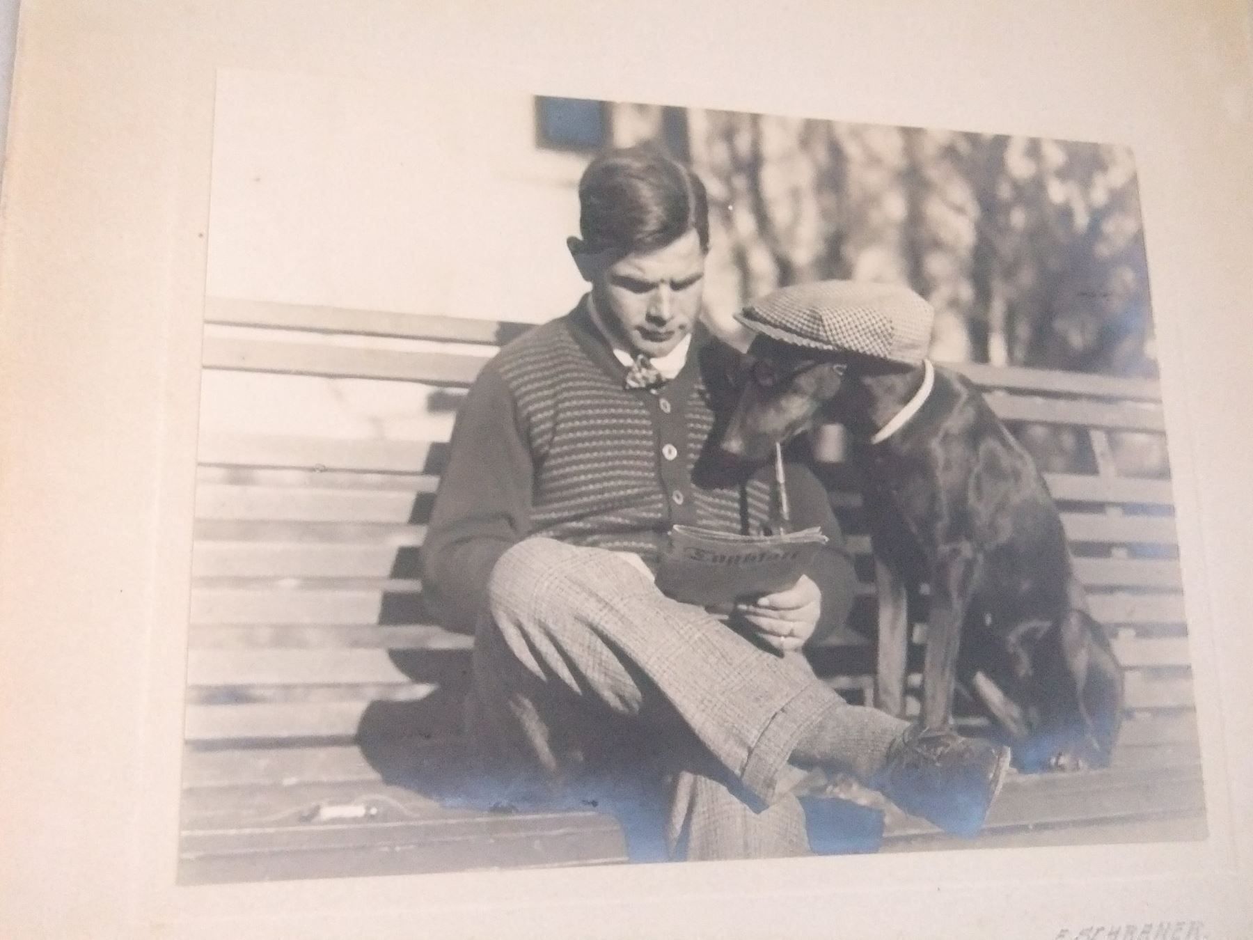 Foto & Immagini: Rauchender Hund /  E. Schraner – Usato da Esslingen venduto da eintagammeer