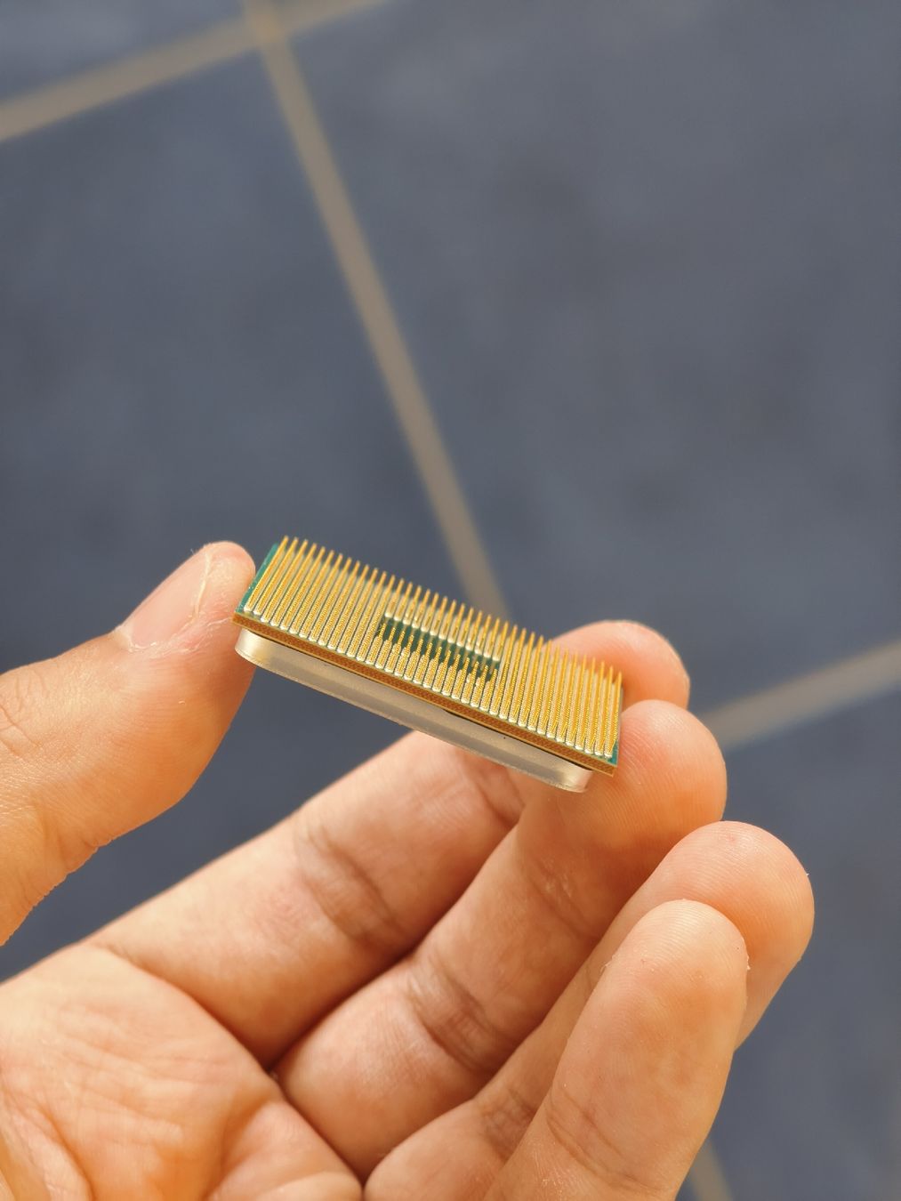 Amd Componenti elettronici: Ryzen 5 5600X CPU – Usato da Dielsdorf venduto da LukeyDukey 2