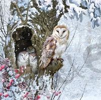 Serviette barn owl (1355) 2Stk.