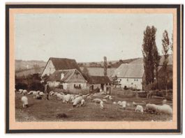Fotografie Schäfer und Schäferhund mit