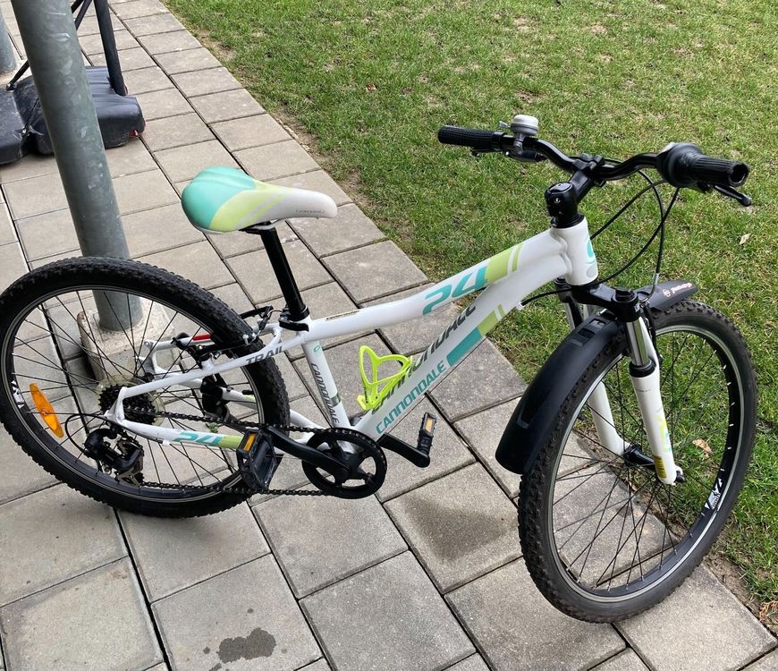 Hühnerbrüten Tischsiebbürste 24 Zoll Weiß Für Ayr King Archway Henny Penny
