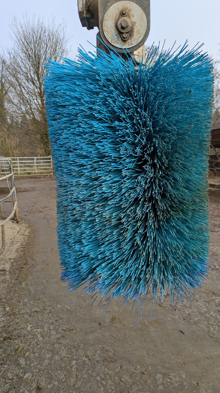 Delaval Sonstige Stalleinrichtungen: Delaval bürste gebraucht, nur blaue Borsten – Gebraucht aus Emmen von Tyupi 1