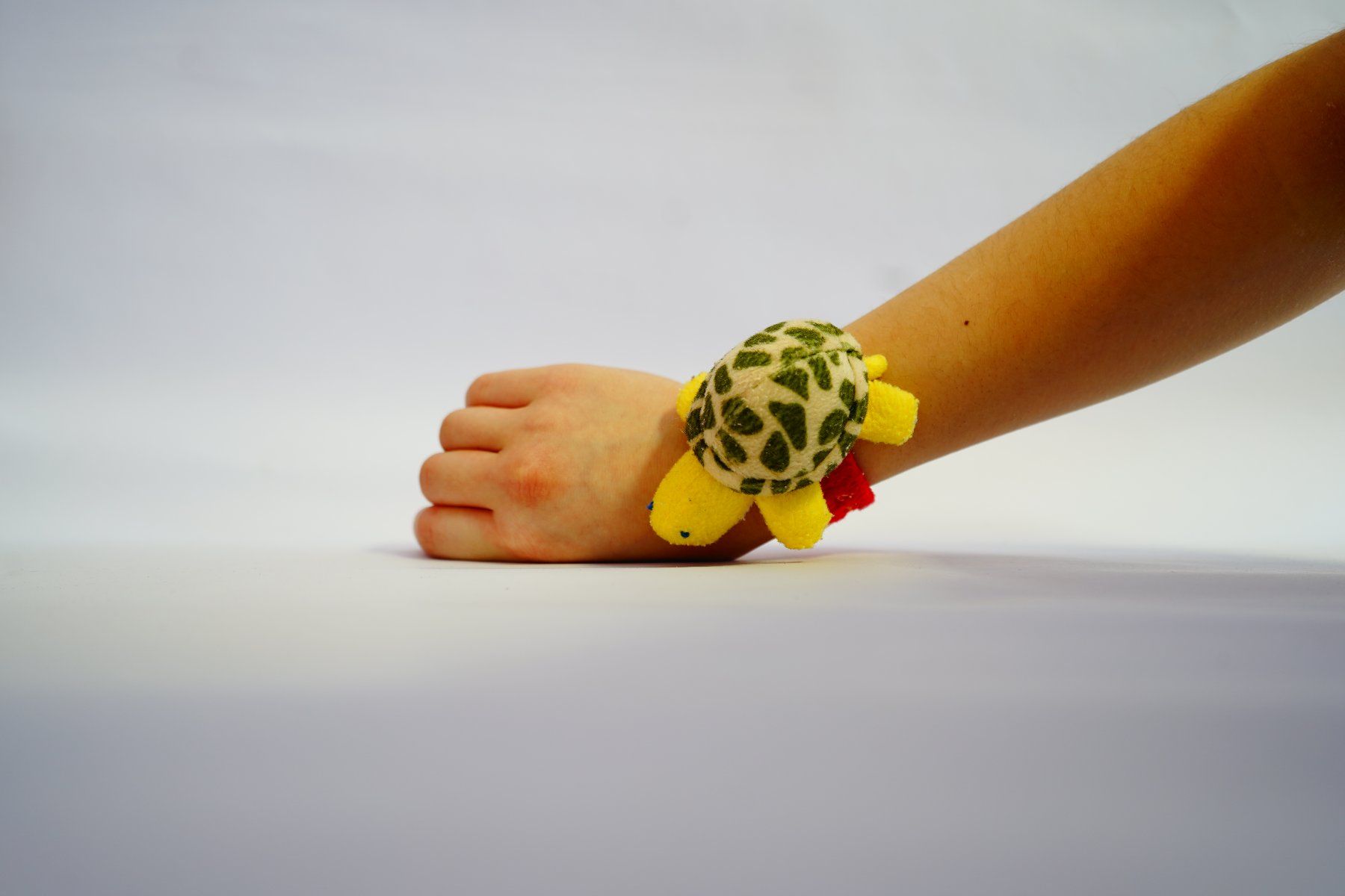 Giocattoli: Baby Rassel Schildkröte – Usato da Ebikon venduto da lin_jr8x 3