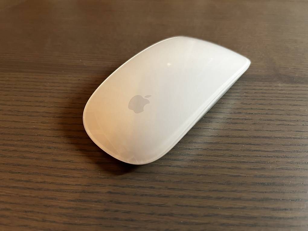 Mouse: Apple Magic Mouse – Usato da Unterägeri venduto da Check_2 1
