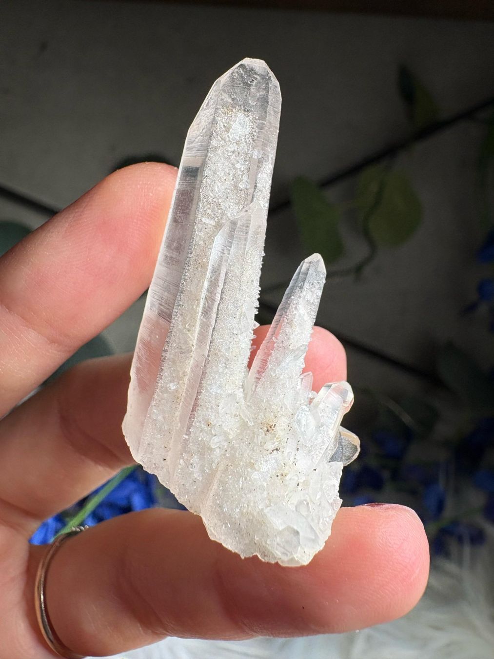 Minerali & Pietre curative: Kolumbianischer Lemurian-Quarz-Cluster – Nuovo (secondo la descrizione) da Neuheim venduto da m.hald 6