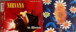 NIRVANA - BLOOM