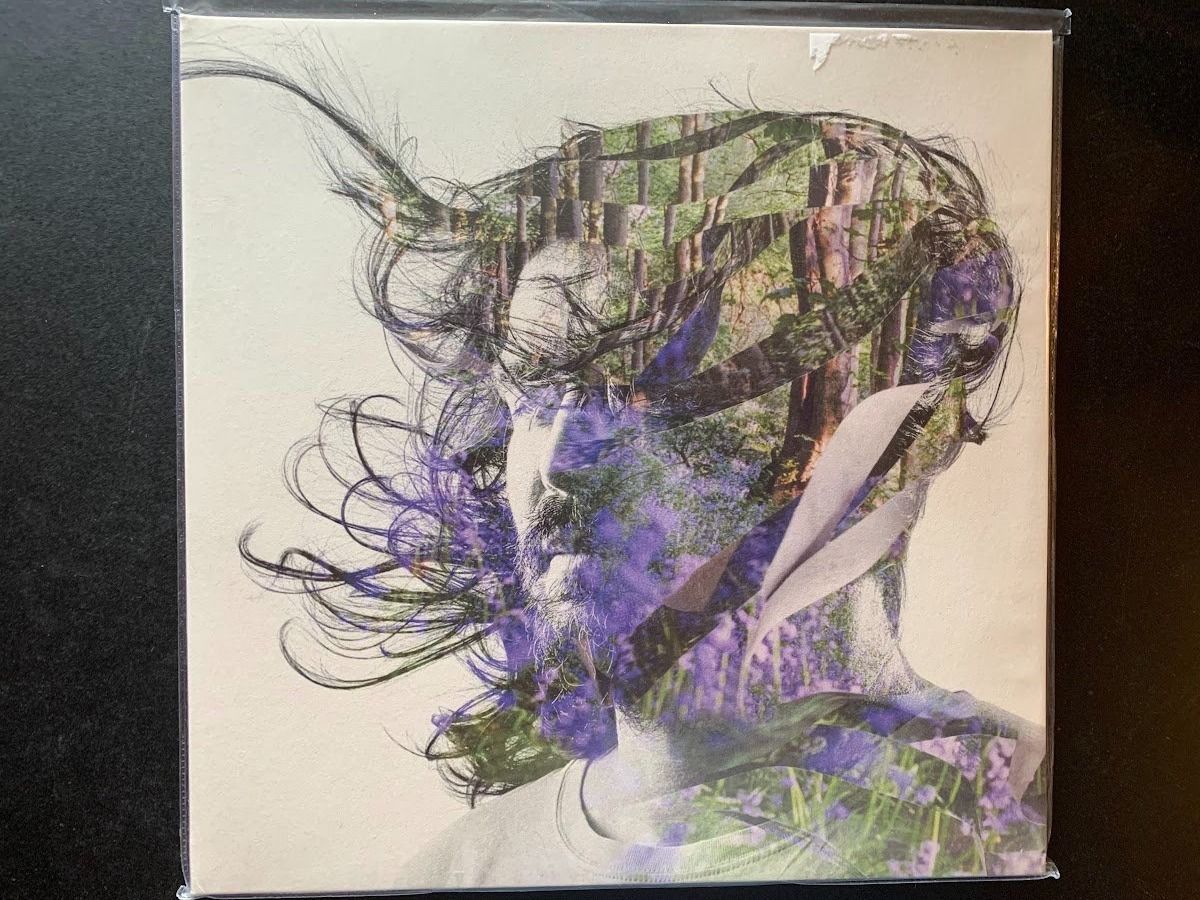 Dischi in vinile: Bibio ‎– Ribbons – Usato da Fribourg venduto da jimiJ13
