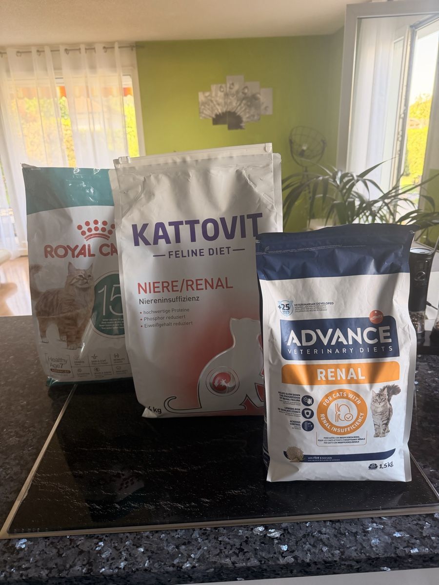Nourriture: Nierenfutter Katze – D'occasion à Kradolf par Banskys