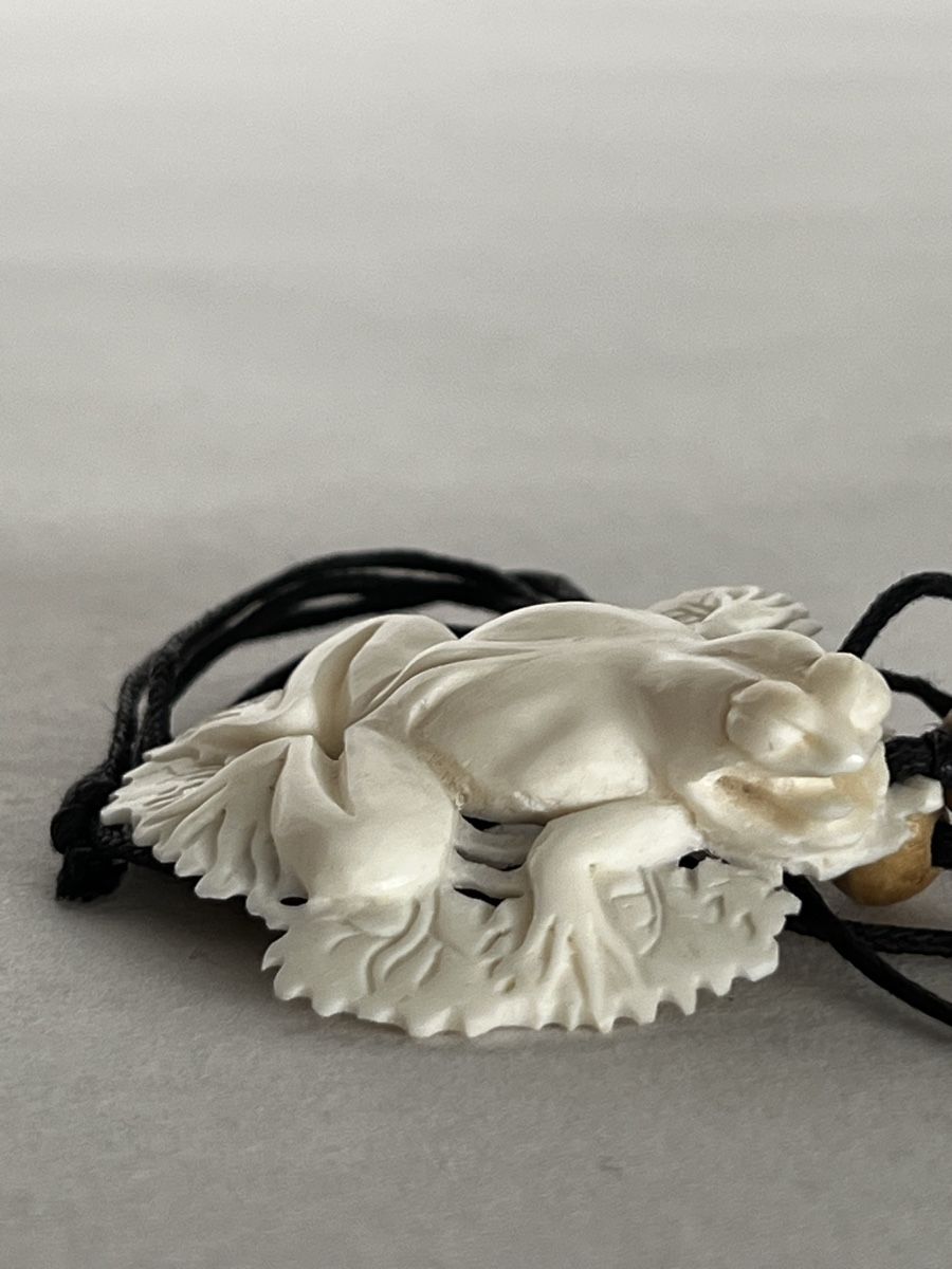 Catenine: Hand-Carved Bone Frog Pendant Necklace Frosch Knochen – Nuovo (secondo la descrizione) da Moehlin venduto da Balirain 2