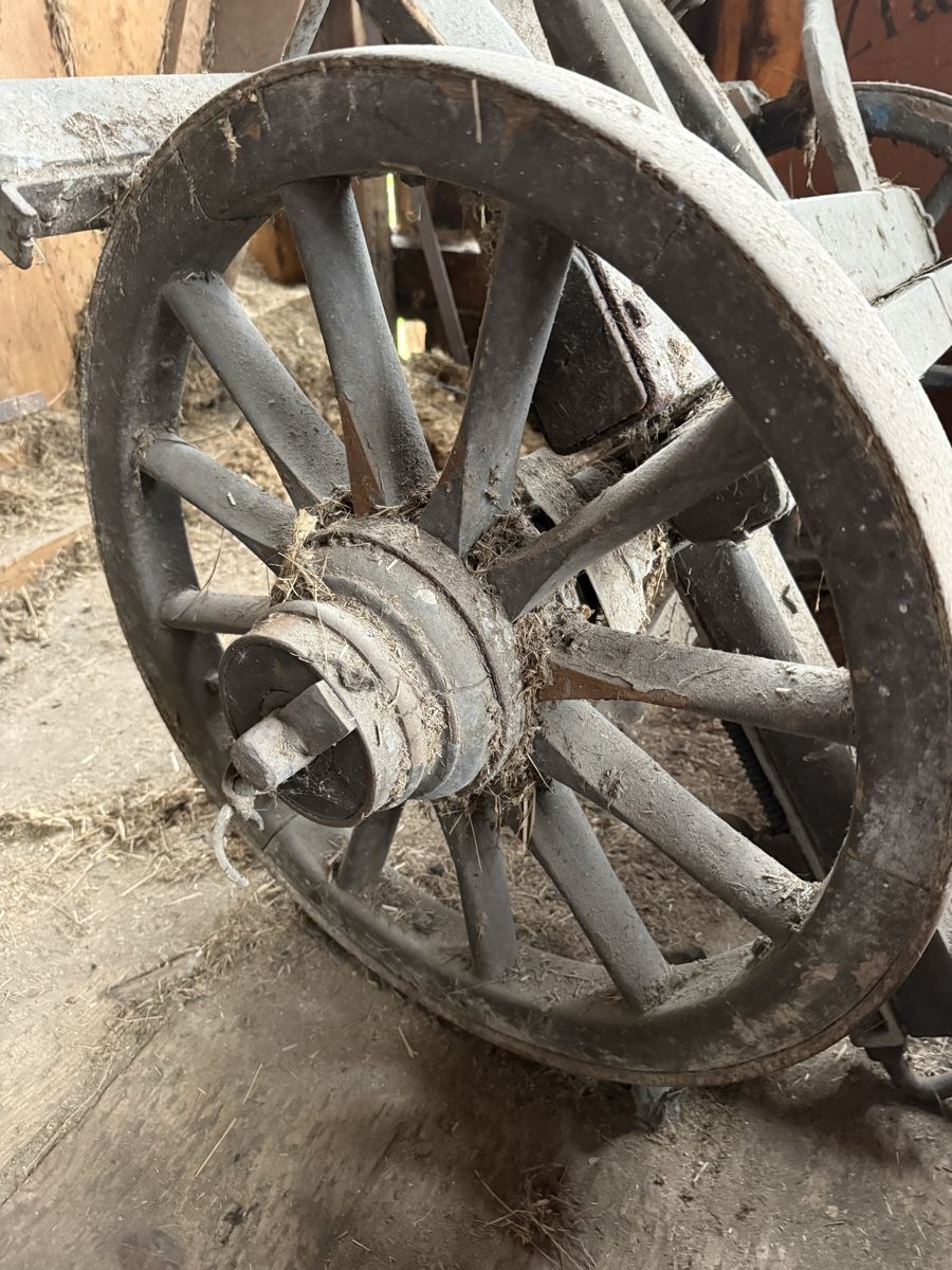 Articoli in legno: Holz-Leiterwagen – Usato da Savognin venduto da Tgeli 2