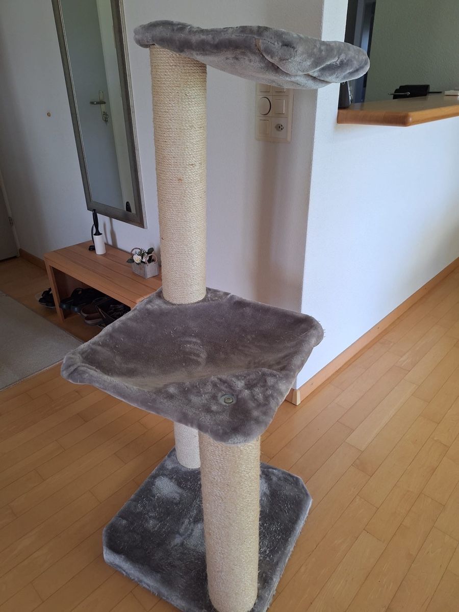 Tiragraffi: Katzenbaum – Usato da Huttwil venduto da Rohde2000