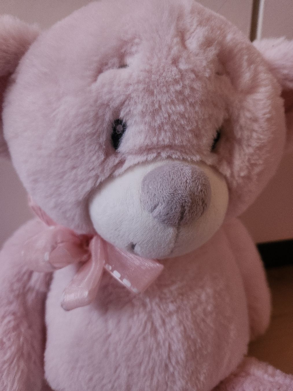 Giocattoli: Teddybär Plüschtier rosa – Usato da Bözberg venduto da Szni_9s8z 1