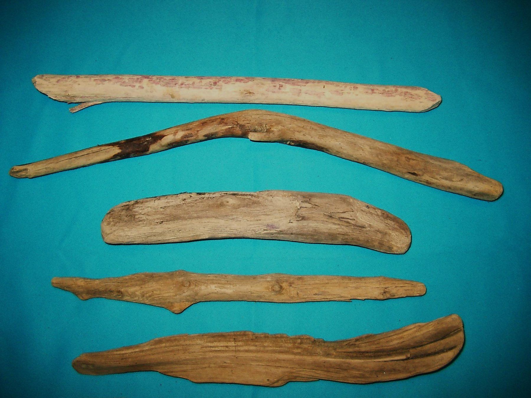 Articoli in legno: Schwemmholz, 7 Stück , ca. 22 bis 37cm – Usato da Laupen ZH venduto da tonisculati 2