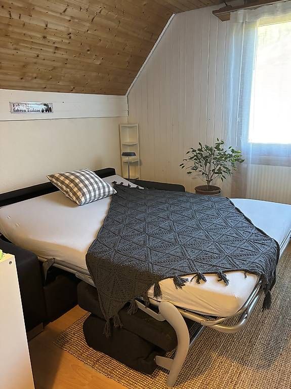 Divani: Bettsofa – Usato da Waldenburg venduto da giu_z9td 4
