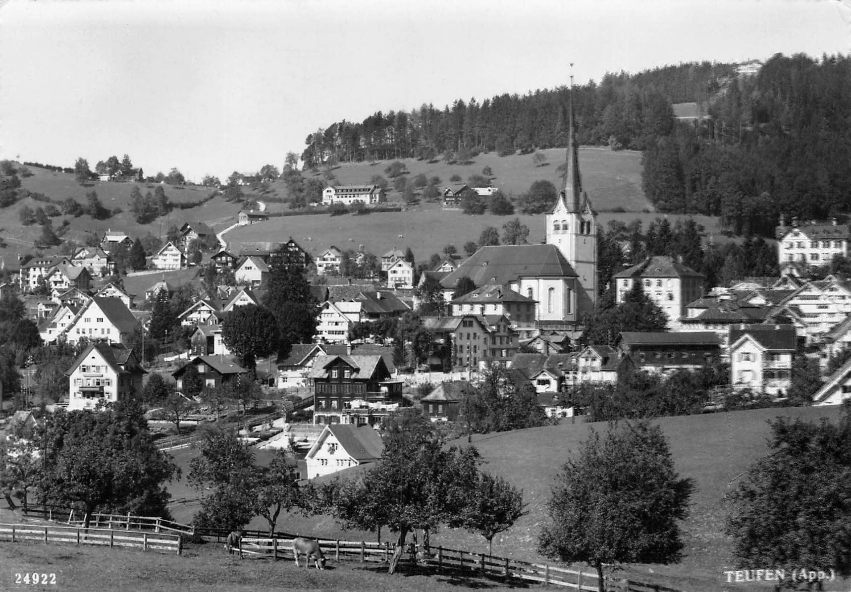 Cartoline postali: - Teufen ( App. ) – Usato da Reichenburg venduto da Pipo-67