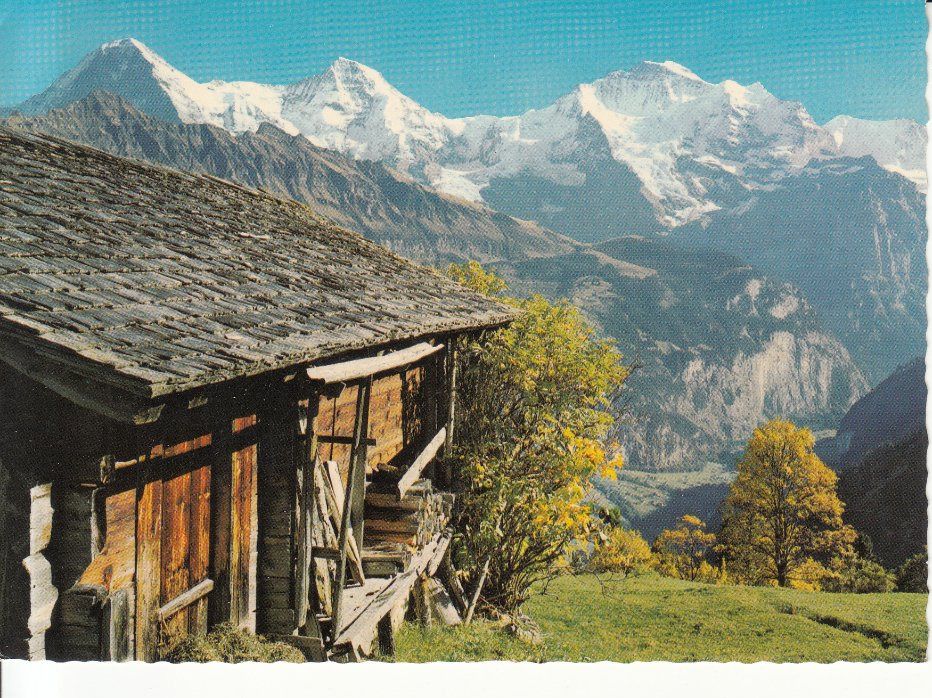 Cartoline postali: Sulwald ca. 1970 – Usato da Bürglen TG venduto da StampGraf