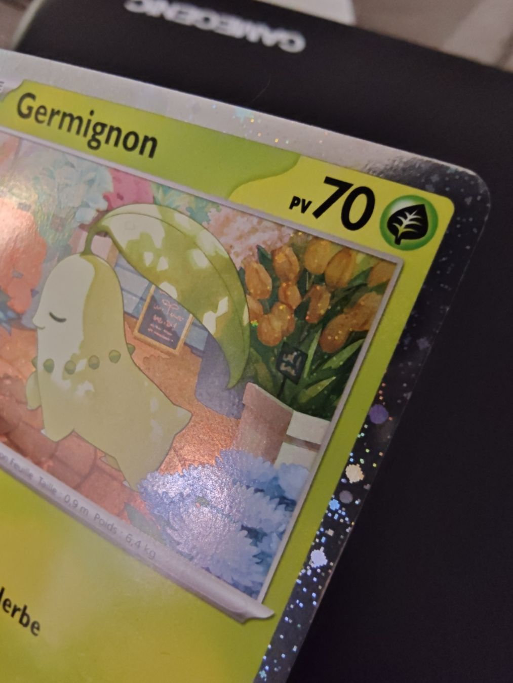 Pokémon Carte collezionabili: Germignon Holo Cosmo - Promo - 069 - MEP fr – Usato da Cormondreche venduto da pajojo 2