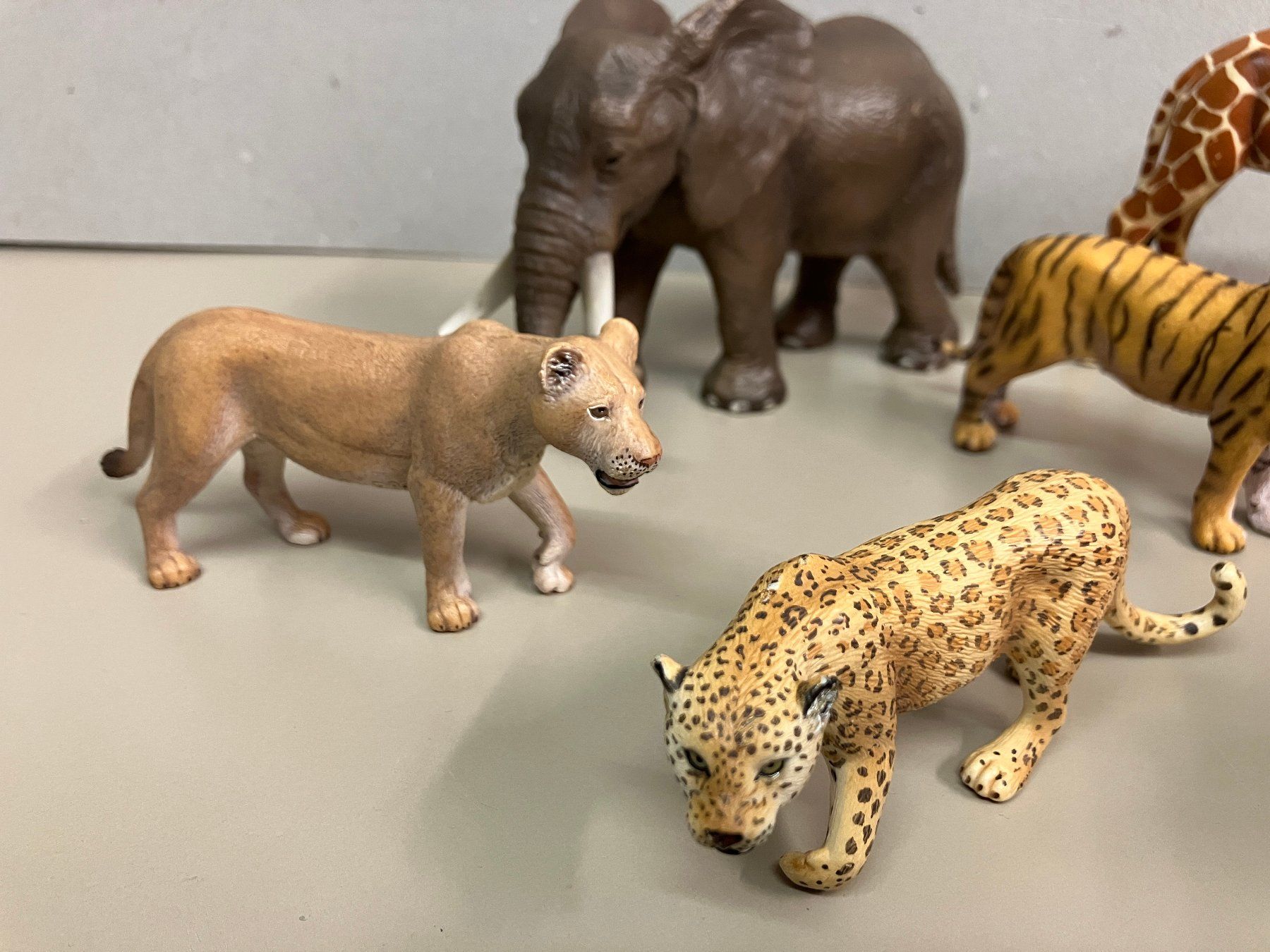 Schleich Statuette: Tier Collection Schleich, 5 Stk. – Usato da Riedholz venduto da mastercom 2