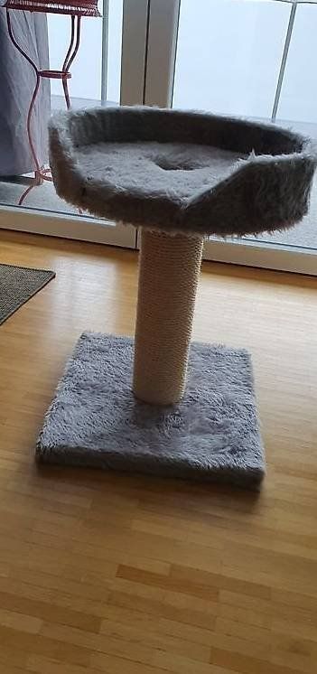 Tiragraffi: Katzenbaum mit Bett absolut neuwertig – Nuovo (secondo la descrizione) da Wetzikon ZH venduto da Jisidor
