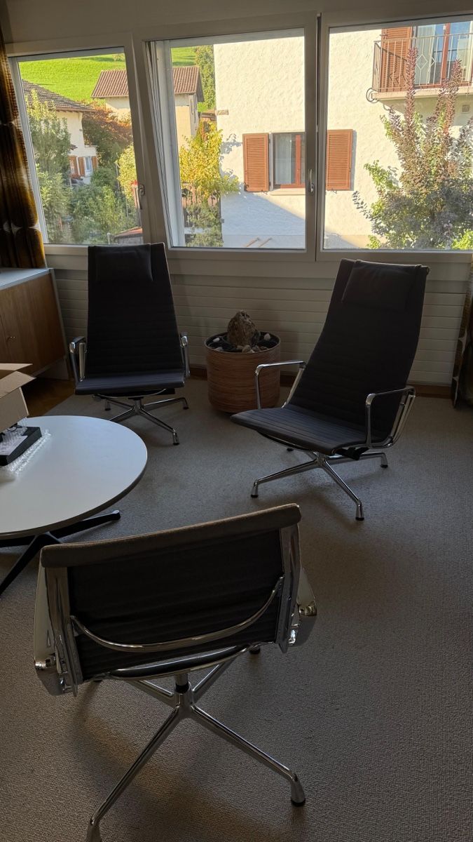 Vitra Poltrone: Vitra Eames EA124 Lounge Chair – Usato da Basel venduto da lau_j25k 7