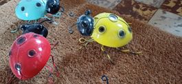 coccinelleun célèbre làmour Prüfungskäferli4ideales Geschenk