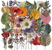 50 Aufkleber Sticker - Flora transparent