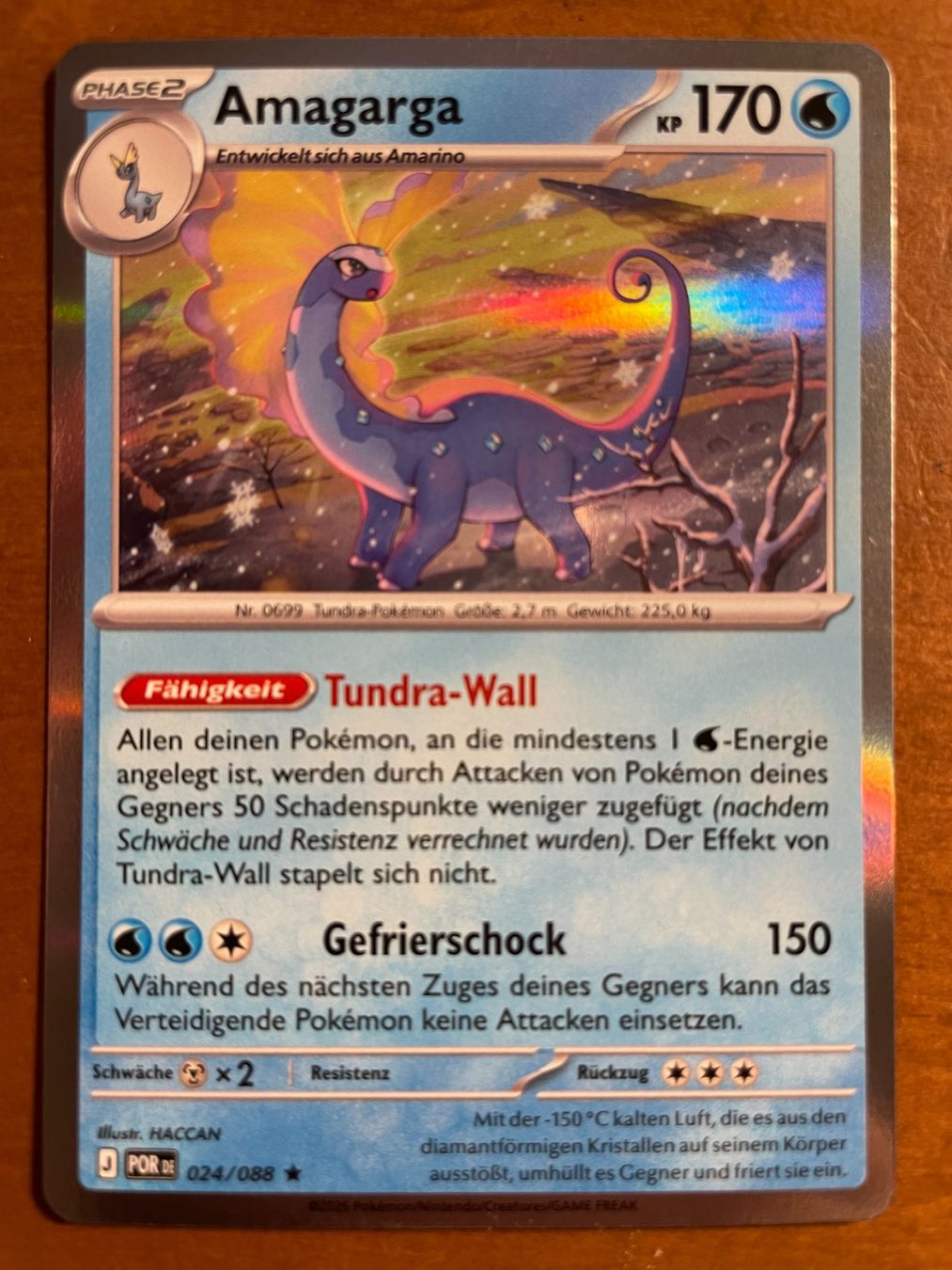 Pokémon Carte collezionabili: Pokemon Amagarga Holo (Versand gratis) – Nuovo (secondo la descrizione) da Chur venduto da Angerson